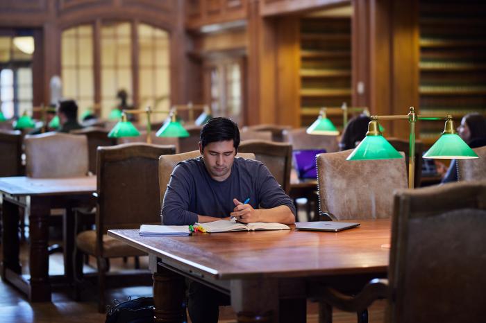 Student Studying in the Chapman