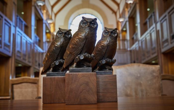Law Owls