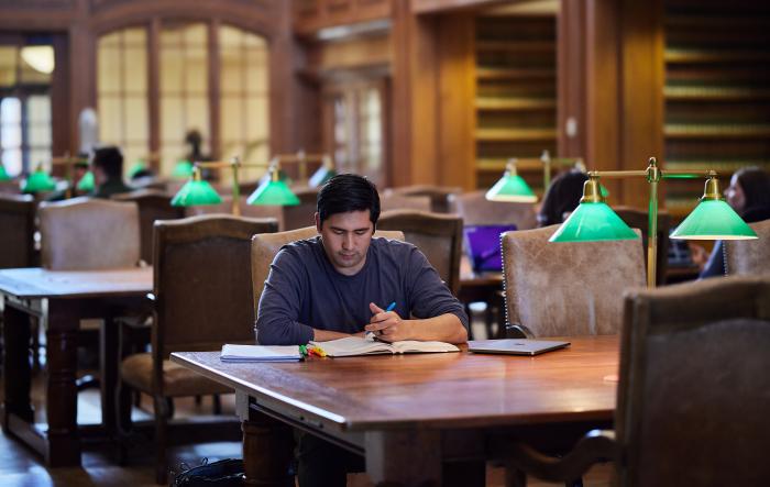 Student Studying in the Chapman