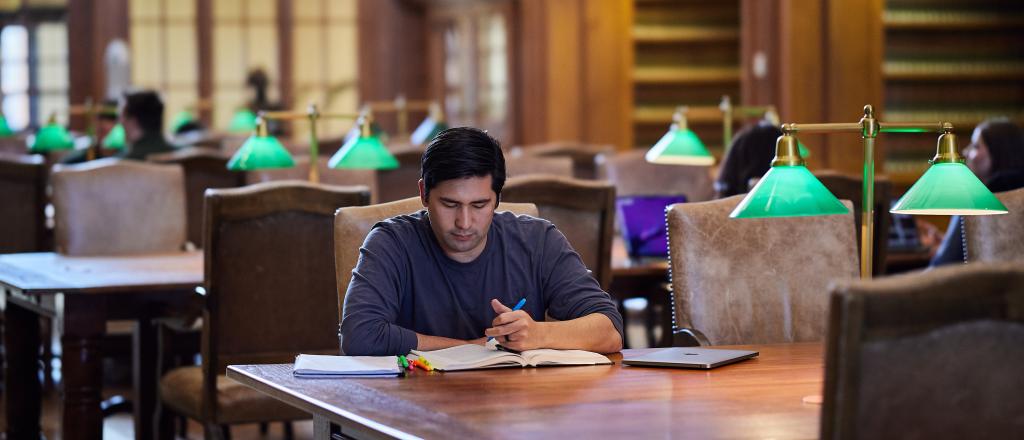 Student Studying in the Chapman