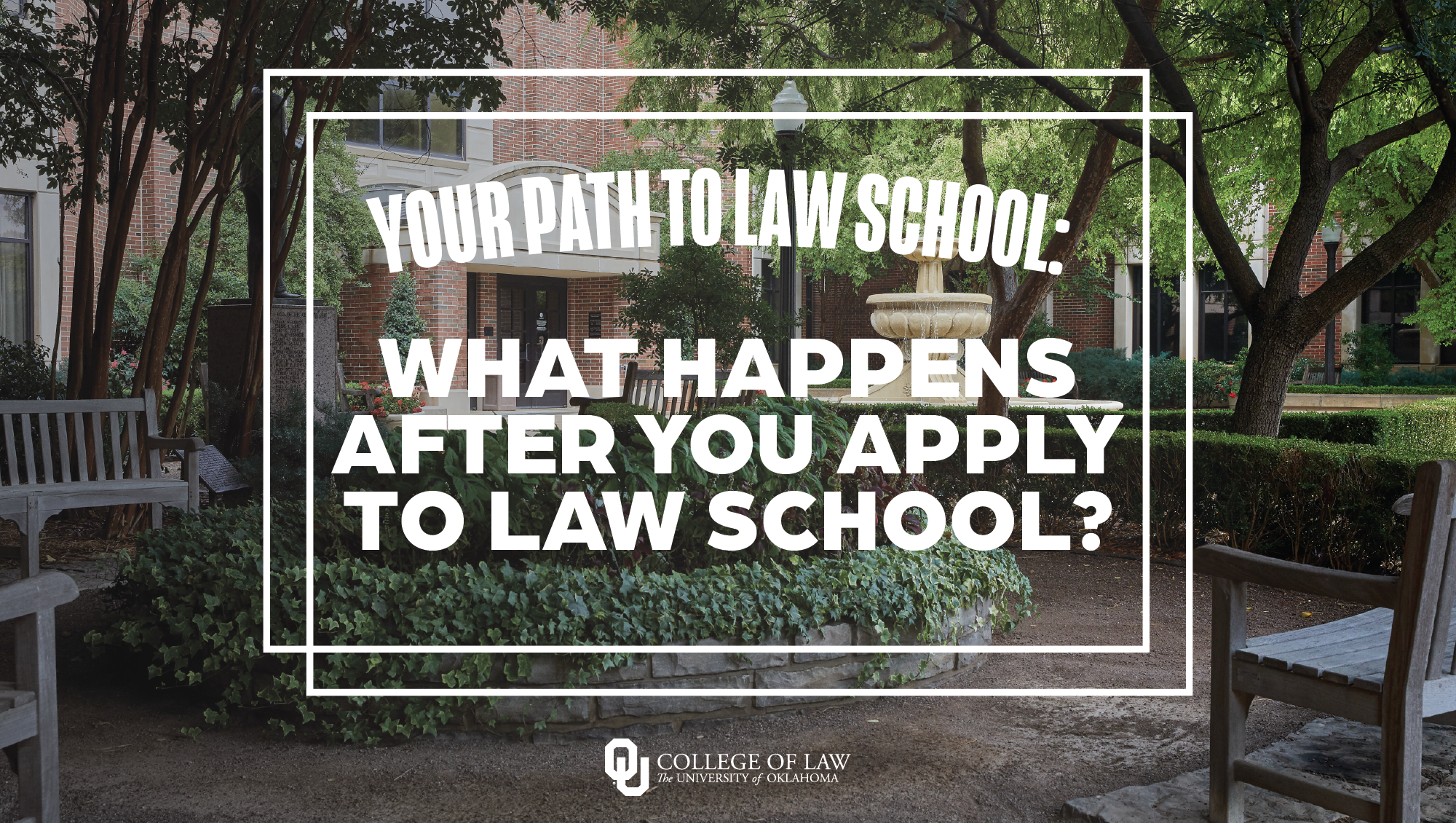What happens after you apply to law school graphic