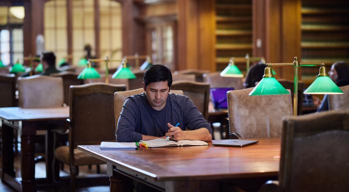 Student Studying in the Chapman