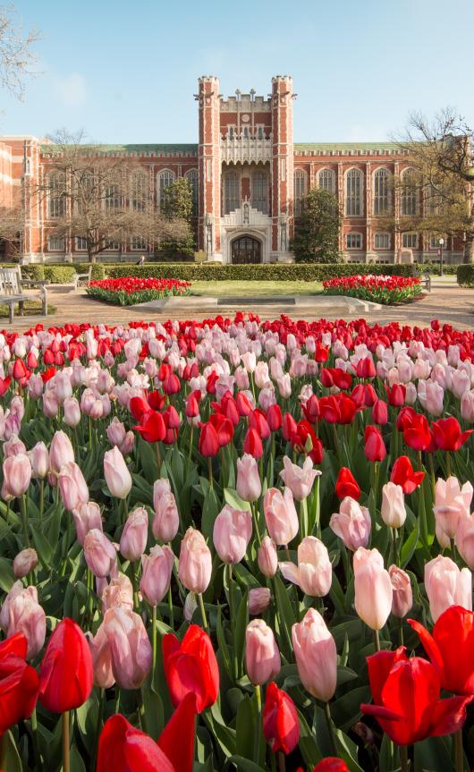 Flowers on campus